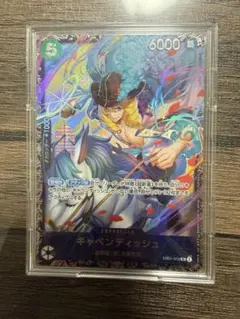 2025年最新】フラッグシップ キャベンディッシュの人気アイテム