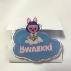 スキズ ネームバッジ トゥエッキ