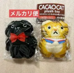 カカオキャット