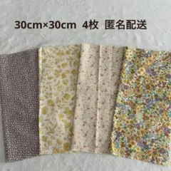 Item thumbnail for item 91ce2f4f-5458-4dee-bd0f-d00de9ff82f3