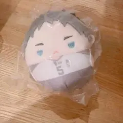 ハイキュー ぬいくじ 赤葦 京治 ふわコロりん