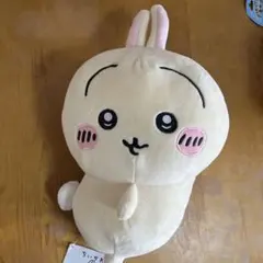 デコポン様 リクエスト 2点 まとめ商品