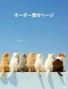 受付ページ　ボックスティッシュカバー