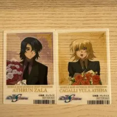 機動戦士ガンダムSEED DESTINY カードセット