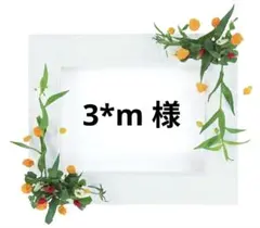 3*m様 専用ページ