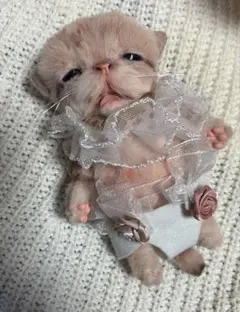 人気作家様　ミニチュアテディベア　ぬいぐるみ ヴィンテージライクテディベア アーティストベア ミニチュア 海外作家