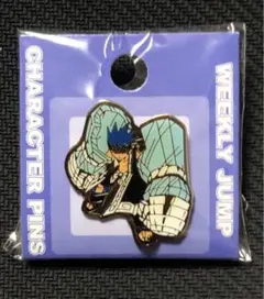 2026年最新】シャーマンキング ピンズの人気アイテム - メルカリ