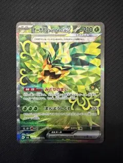 オーガポン みどりのめんex SAR SV6 変幻の仮面 125/101