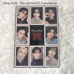 Stray Kids ステッカー 映画　前売り券　特典