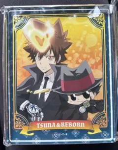 家庭教師ヒットマンREBORN 沢田綱吉　アクリルブロック　くじメイト　2