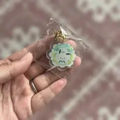 ポチャッコ アクリルキーホルダー 花柄