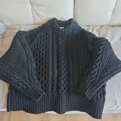 ビアズリー ニット