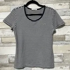 LACOSTE ラコステ ボーダー 半袖Tシャツ 40のサムネイル
