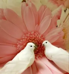 ルミエール様 リクエスト 2点 まとめ商品