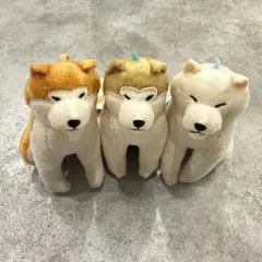 ほっこり秋田犬 はち兵衛3点セット - メルカリ