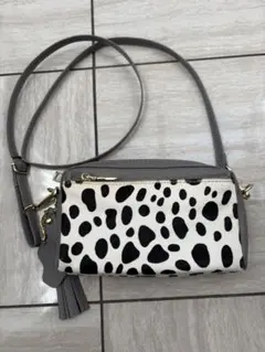 小型ショルダーバッグ