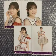 乃木阪46 ビリヤニ 生写真 コンプ 4枚 柴田柚菜