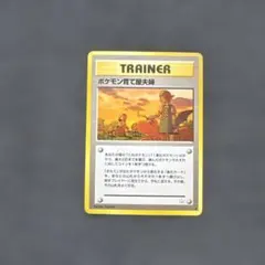 旧裏 ポケモン育て屋夫婦のサムネイル