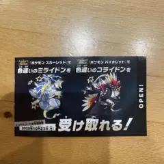 色違いミライドン、コライドン