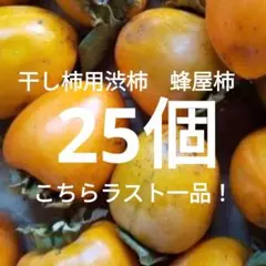 干し柿用渋柿　蜂屋柿　25個　ラスト一品！