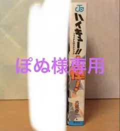 ハイキュー ファンブック 専用