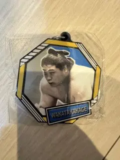 Item thumbnail for item 8ad476cd-dae9-4d33-91df-7ff3b4848df9