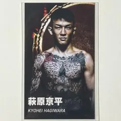 Item thumbnail for item 8b01e247-eabf-417c-b283-88cdfc37610e