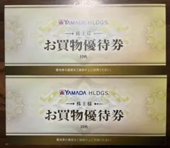 ヤマダデンキ株主優待券 10000円分