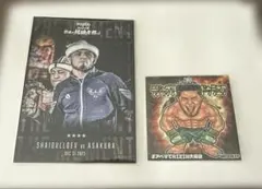 RIZIN シェイドゥラエフ　カード　シール