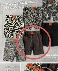 Item thumbnail for item b8071df5-84b9-4970-86e7-6dd1dee86f48