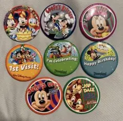 海外ディズニー限定　ウォルトディズニーワールド缶バッジ8点セット