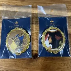 カメオ型クリップ　ディニープリンセス　【ベル、シンデレラ】2個セット