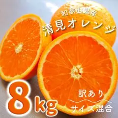 訳あり 和歌山 清見オレンジ きよみ 8キロ 混合 有田みかん おれんじ9