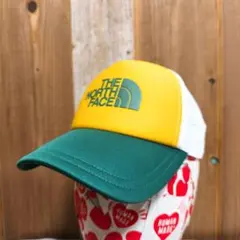 2025年最新】イリオモテヤマネコ ノースフェイスの人気アイテム