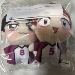ハイキュー!! ちょぴぬいぷち 天童覚 五色工　新品　プライズ