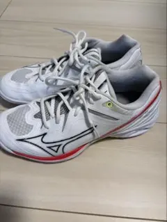 Mizuno WAVE CLAW PRO 3 バドミントンシューズ 26 - メルカリ