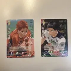 ハイキュー 日向翔陽・影山飛雄 キャラクターカード2枚セット