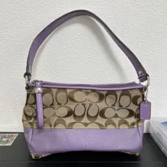 美品 希少 COACH ハンドバッグ アクセサリーポーチ スウェード レザー