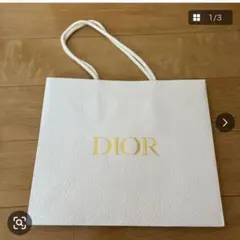 Dior ディオール ショッパー 紙袋 ホワイト ゴールドロゴ