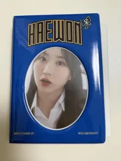 NMIXX ファンコン うちわ コレクトブック ベイ ソリュン まとめ売り NMIXX ファンコン うちわ コレクトブック ベイ ソリュン まとめ