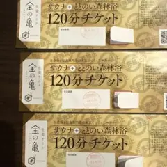 【9,000円相当】生姜サウナ 金の亀 120分チケット×3枚（26年4月迄）のサムネイル