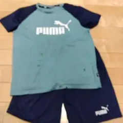 PUMA 半袖ジャージセット 青緑　160