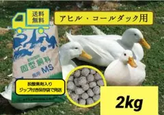 Item thumbnail for item e4dd78c0-b532-46d1-a264-2e45bb100cde