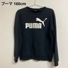 PUMA トレーナー 160cm スエット