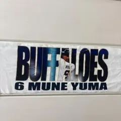 Item thumbnail for item 26753f5f-8570-4a14-a45a-ca4f380d6913