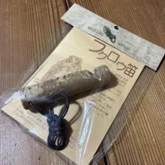 水に浮くフライとその作成方法 川野信之訳 カワノブックス - メルカリ