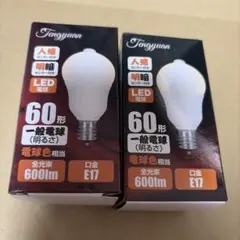 【新品】Fengyuan 60W形相当　電球色相当　人感タイプ　明暗センサー2点