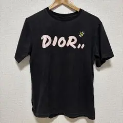 ディオール Dior KAWS カウズ ロゴ Tシャツ 蜂 半袖 古着 中古のサムネイル