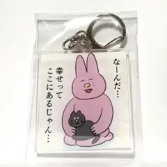 うさぎ　今日もいい1日だった！低空飛行うさぎと仲間たち　アクリルキーホルダー　⑤