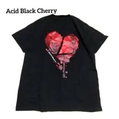 Acid Black Cherry 2015 Ｌツアー Tシャツ メンズ Ｍ